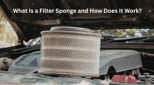 What Is a Filter Sponge and How Does It Work?